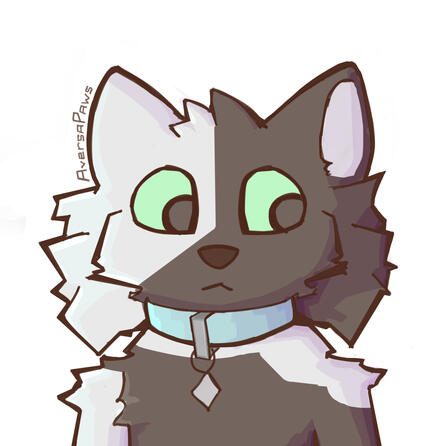 Avatar example